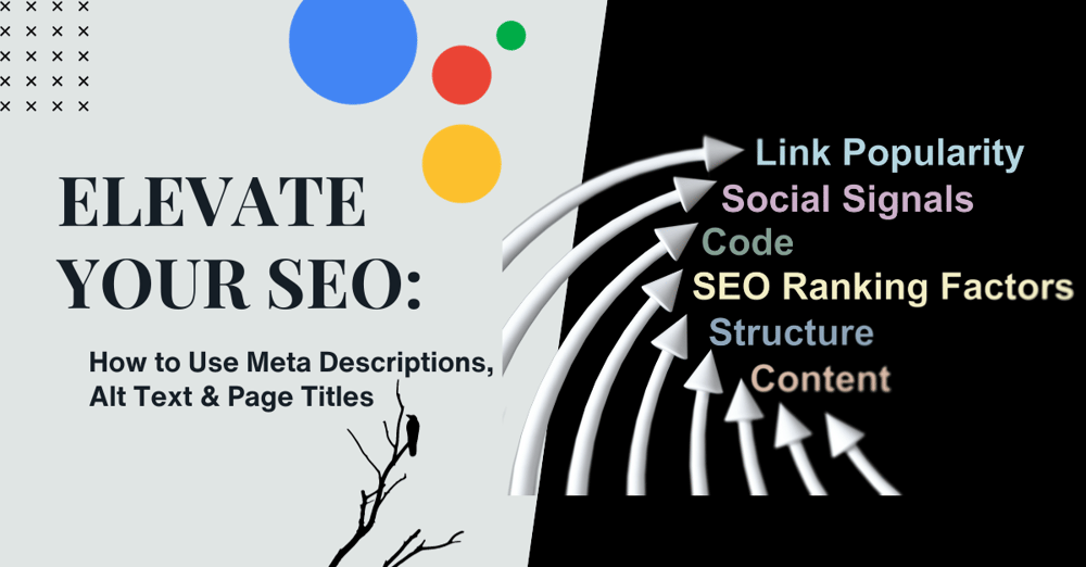 The title of the article (Elevate Your SEO: How to Use Meta Descriptions, Alt Text, & Page Titles) in black on a white background. Arrow point to specific SEO keywords against a black background. 