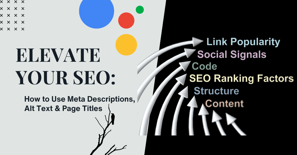 The title of the article (Elevate Your SEO: How to Use Meta Descriptions, Alt Text, & Page Titles) in black on a white background. Arrow point to specific SEO keywords against a black background.
